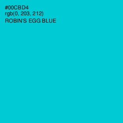 #00CBD4 - Robin's Egg Blue Color Image